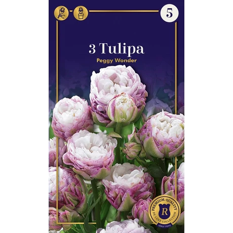 Vh 16523 Tulipa Supreme Double Late Peggy Wonder 3db/cs 12/+