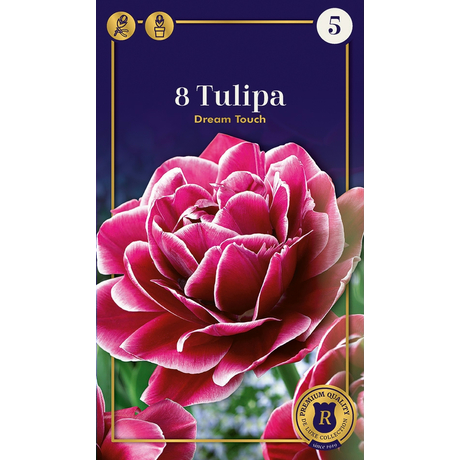 Vh16974 Tulipán Supreme Double Late Dream Touch 8db/csom