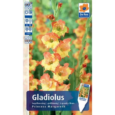 Vh Rackbox Gladiolus Largeflowering Princess Margareth