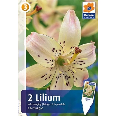 Vh08348 Lilium Tiger Side-Hanging Corsage