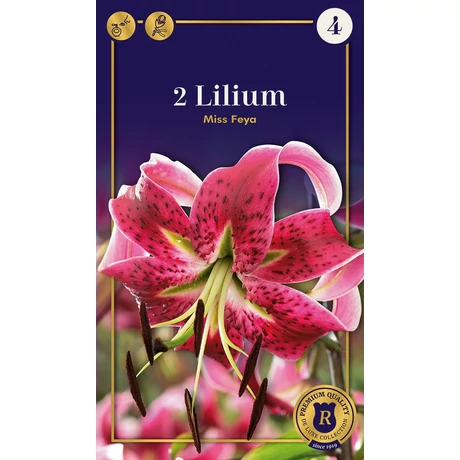 Vh08793 Liliom Supreme Oriental Miss Feya 2db/cs