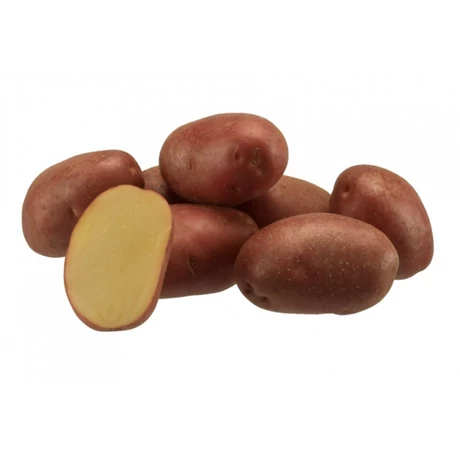 Burgonya Evolution 50db-os "A" 25-35mm NL