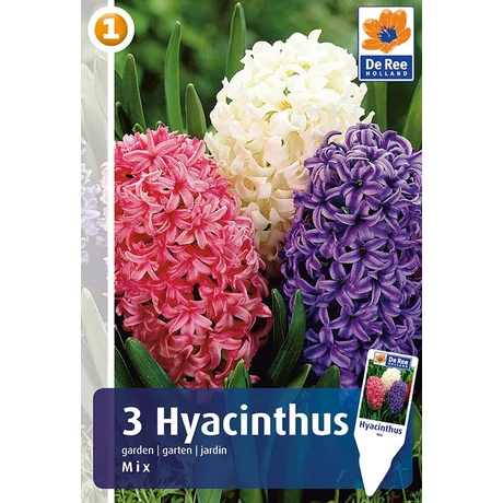 Vh 16214 Hyacinthus Garden Mix 3db/cs 15/16
