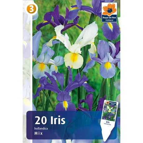 Vh 16419  Iris Hollandica Mix 20db/cs 8/9