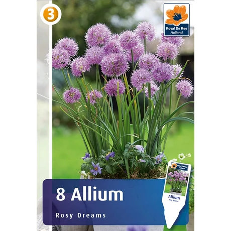 Vh 16231 Allium Allium Rosy Dreams 8db/cs 6/+