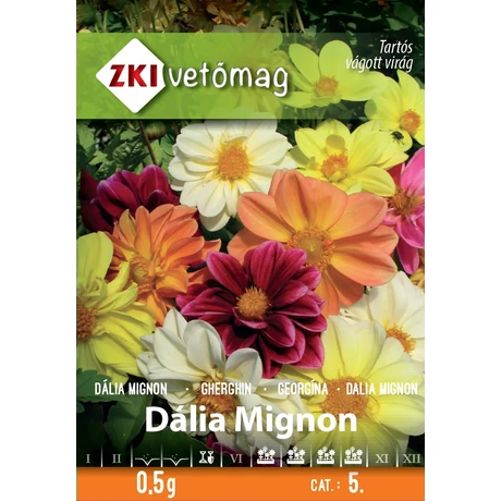 Z Virágmag Dália Mignon színkeverék 0,5g