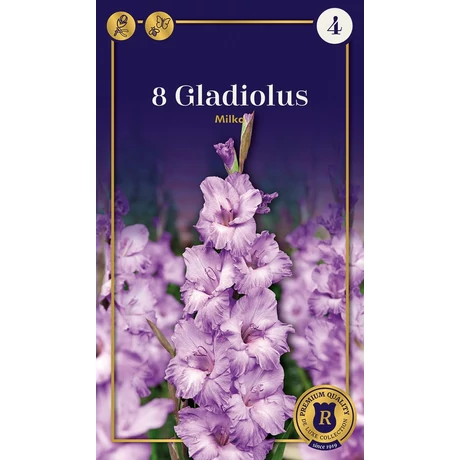 Vh08644 Gladiolus Supreme Milka 8 db/cs