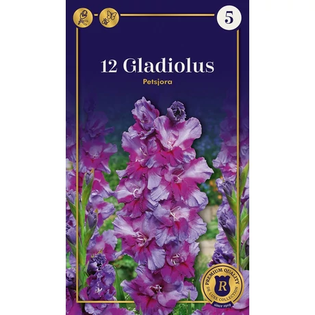 Vh08657 Gladiolus Supreme Petsjora 12 db/cs
