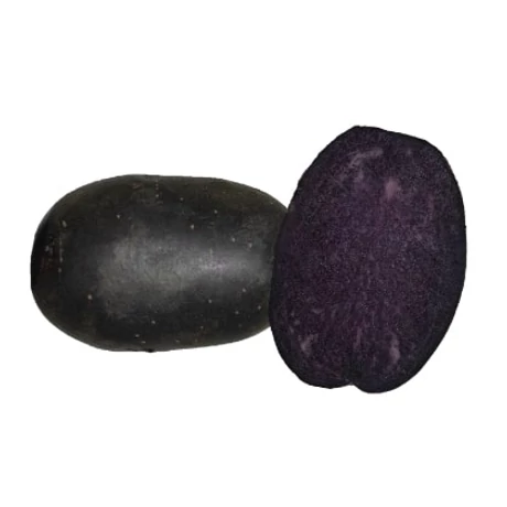 Burgonya Bleuet 50db-os "A" 25-35mm NL