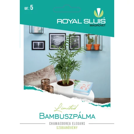 R Virág Bambuszpálma 15szem
