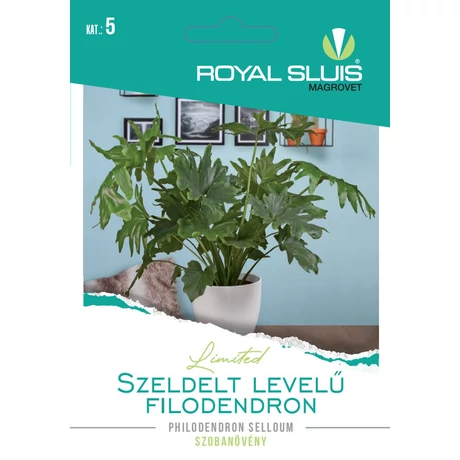 R Virág Szeldelt levelű filodendron 16szem