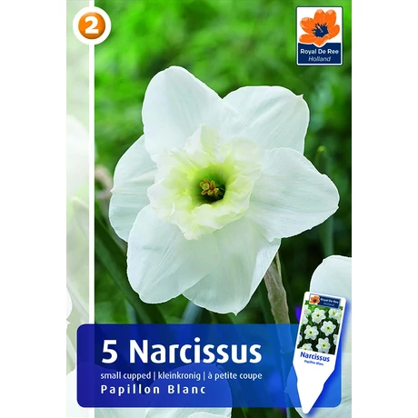 Vh 16270 Narcissus Small cupped Papillon Blanc 5db/cs 12/14