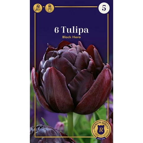 Vh 16511 Tulipa Supreme Double Late Black Hero 6db/cs 12/+