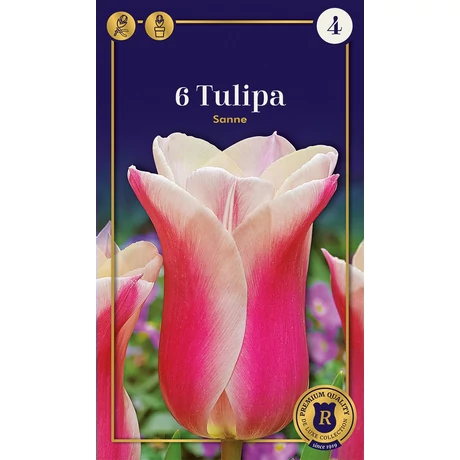 Vh 16903 Tulipa Supreme Triumph Sanne 6db/cs 12/+