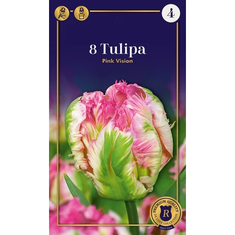 Vh16907 Tulipán Parrot Pink Vision 8db/csom