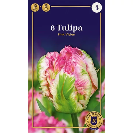 Vh 16907 Tulipa Supreme Parrot Pink Vision 6db/cs 12/+