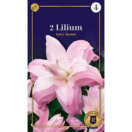 Vh10649 Liliom Supreme Double Oriental Lotus Queen 2db/cs