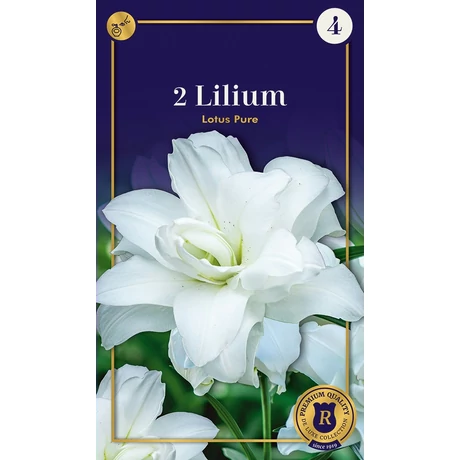 Vh10647 Liliom Supreme Double Oriental Lotus Pure 2db/cs