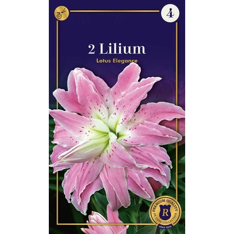 Vh10646 Liliom Supreme Double Oriental Lotus Elegance 2db/cs