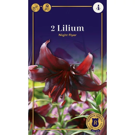 Vh10580 Lilium Supreme Night Flyer 2db/cs