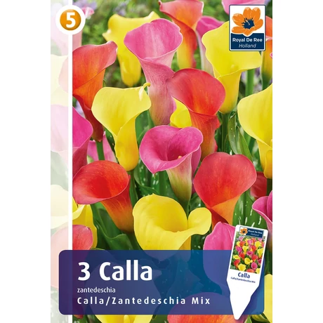 Vh08819 Calla/Zantedeschia Mix 3 db/cs