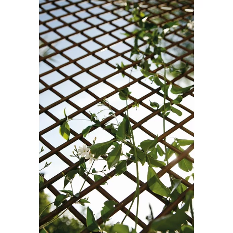 2021982 TRELLIWILLOW kihúzható fűzfa apácarács   fűzfa 0,5 x 1,5 m