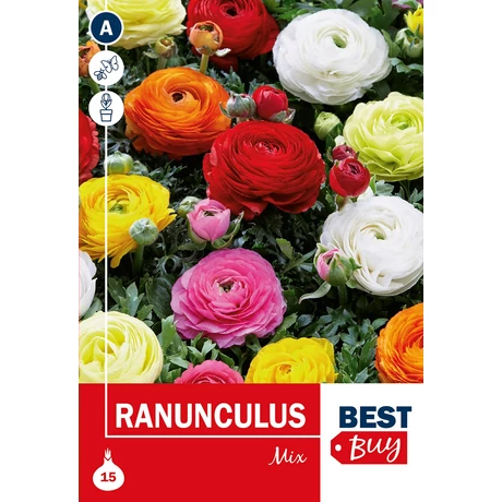 Vh 16061  Ranunculus Mix 15db/cs 4/5