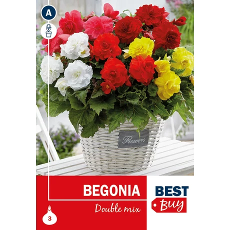 Vh08015 Begonia Double Mix 3db/cs