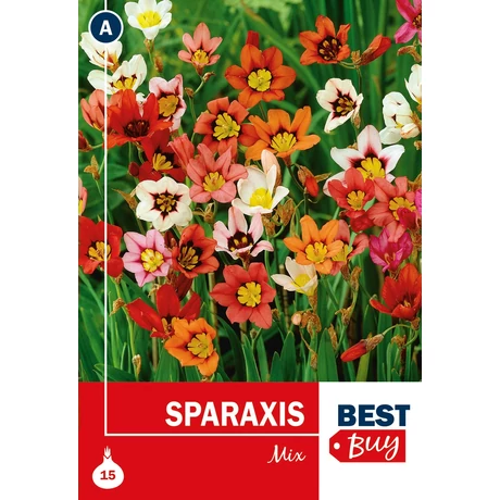 Vh08033 Sparaxis Superba Mix 15db/cs