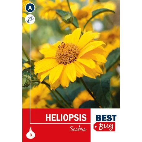 Vh08028 Heliopsis Scabra 3db/cs