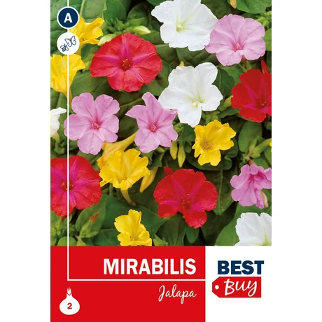 Vh08029 Mirabilis Jalapa 2db/cs