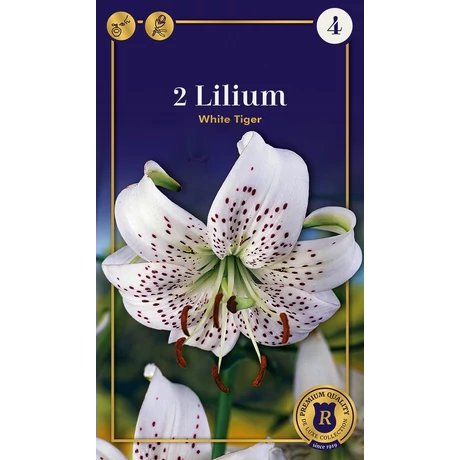 Vh10626 Liliom Supreme White Tiger 2db/cs