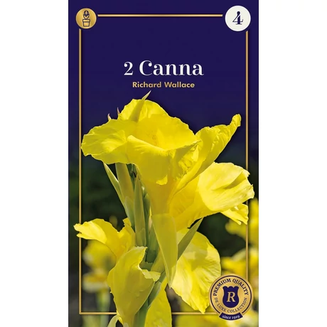Vh08745 Canna Richard Wallace 2db/cs