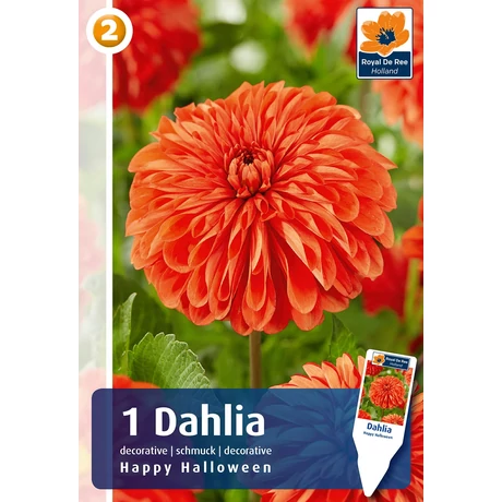 Vh08828 Dahlia Decorative Happy Halloween 1db/cs