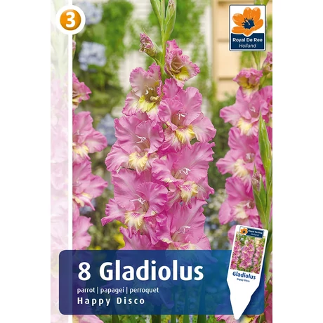 Vh08844 Gladiolus Parrot Happy Disco 8db/cs