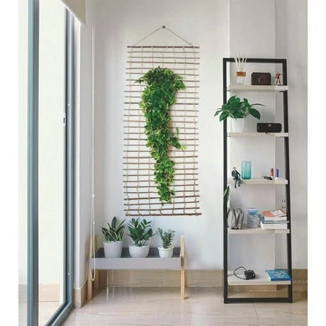 2022524 CLIMBAWICKTermészetes, falra rögzíthető növényfuttató létra  100% termés