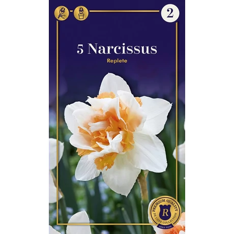 Vh 16555 Narcissus Supreme Double Replete 5db/cs 12/14