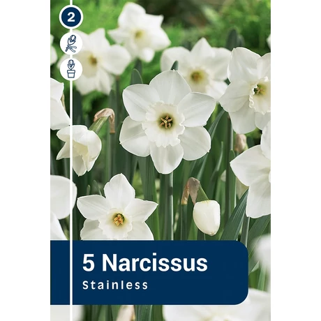 Vh16298 Narcisz Large Cupped Stainless 5db/csom