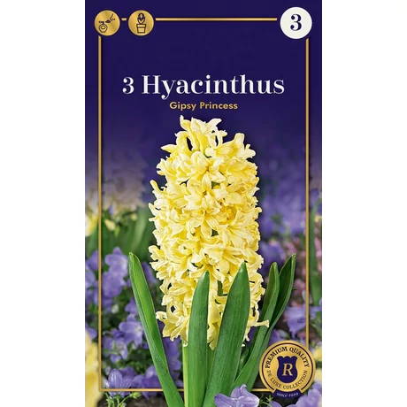 Vh16923 Hyacint Supreme Gipsy Princess 3db/csom