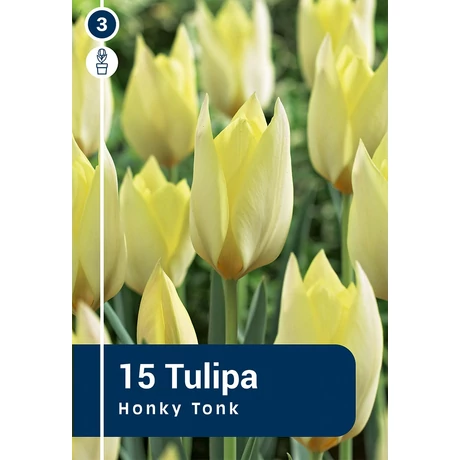 Vh16219 Tulipán Botanical Honky Tonk 15db/csom