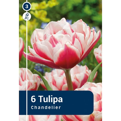 Vh16268 Tulipán Double Late Chandelier 6db/csom
