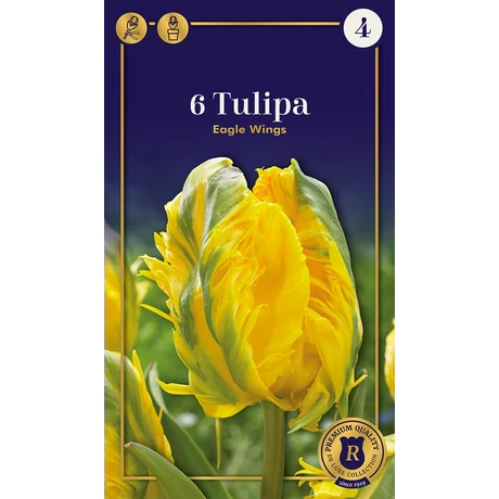 Vh16521 Tulipán Supreme Parrot Eagle Wings 6db/csom