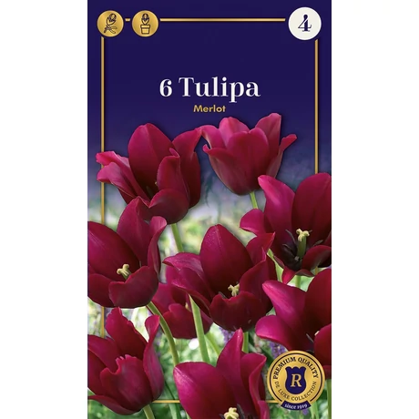 Vh16928 Tulipán Supreme Lilyflowering Merlot 6db/csom