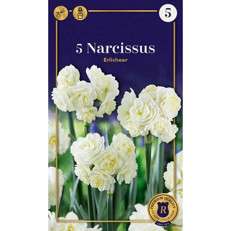 Vh16607 Narcisz Supreme Double Erlicheer 5db/csom