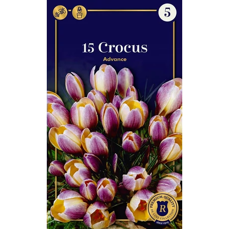 Vh16945 Crocus Supreme Advance 15db/csom