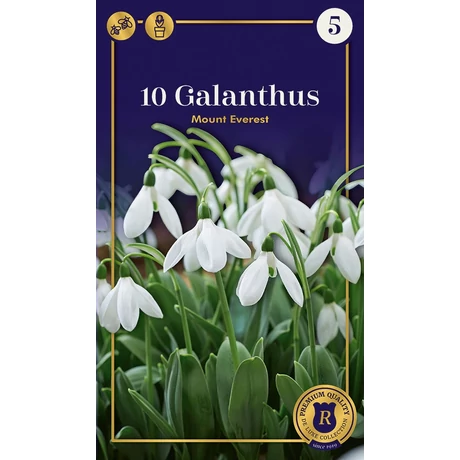 Vh16612 Hóvirág Galanthus Supreme Mount Everest 10db/csom