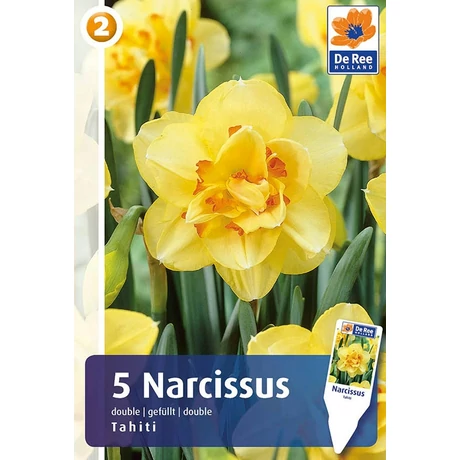 Vh16324 Narcisz Double Tahiti 5db/csom