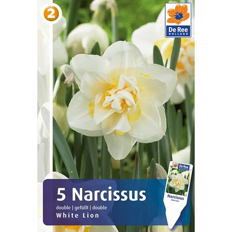 Vh16325 Narcisz Double White Lion 5db/csom