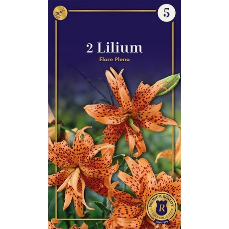 Vh10669 Lilium Supreme Flore Pleno 2db/cs