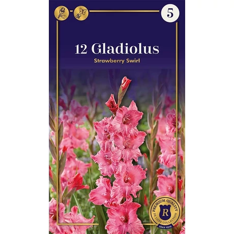 Vh10667 Gladiolus Supreme Parrot Strawberry Swirl 12db/cs